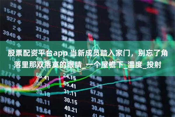 股票配资平台app 当新成员踏入家门，别忘了角落里那双落寞的眼睛_一个屋檐下_温度_投射