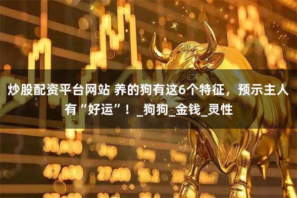 炒股配资平台网站 养的狗有这6个特征，预示主人有“好运”！_狗狗_金钱_灵性